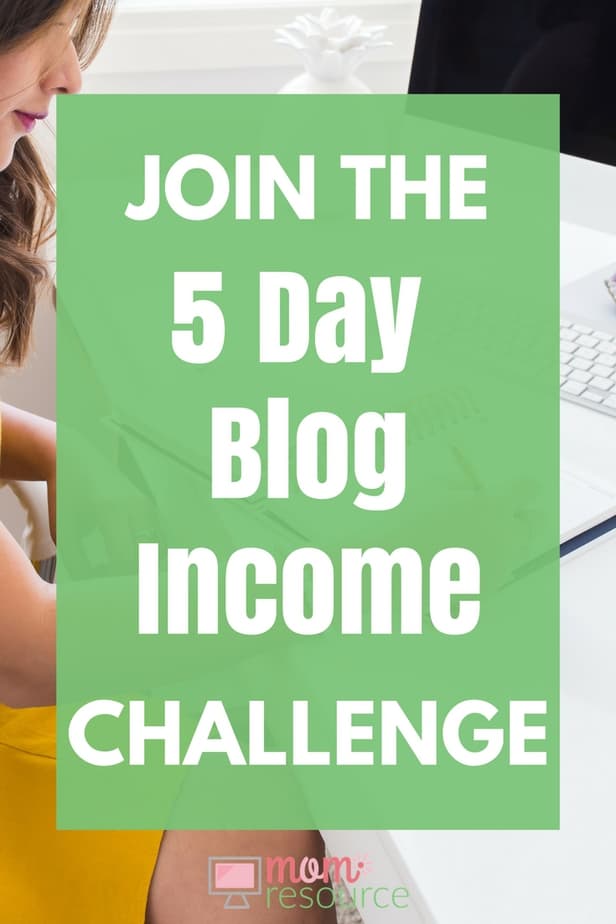 blog income - Mom Resource