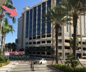 things to do in clearwater