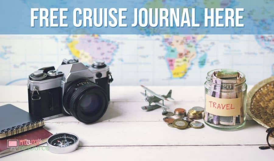 cruise journal