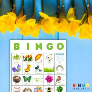 printable spring bingo cards pdf bingo game for large groups