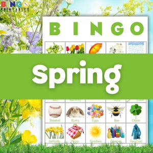 spring bingo game for adults printable